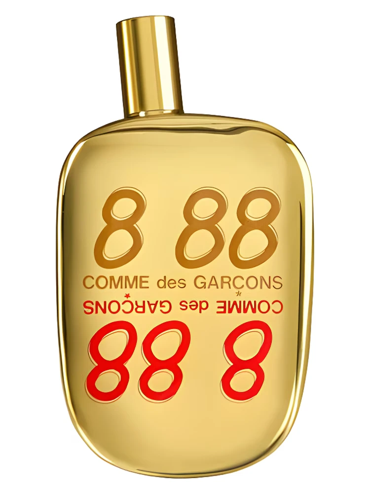 8-88-Comme-des-Garcons.webp